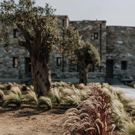 Villa Onym Curated *