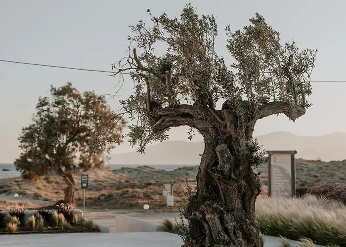 Onym Curated Villa Plaka (Naxos)